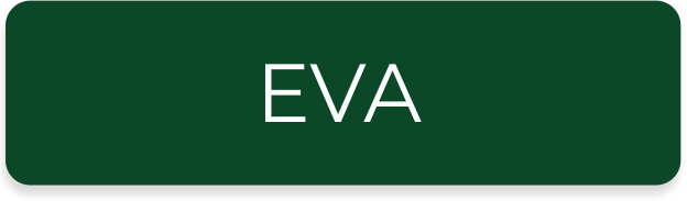 Система EVA Система EVA